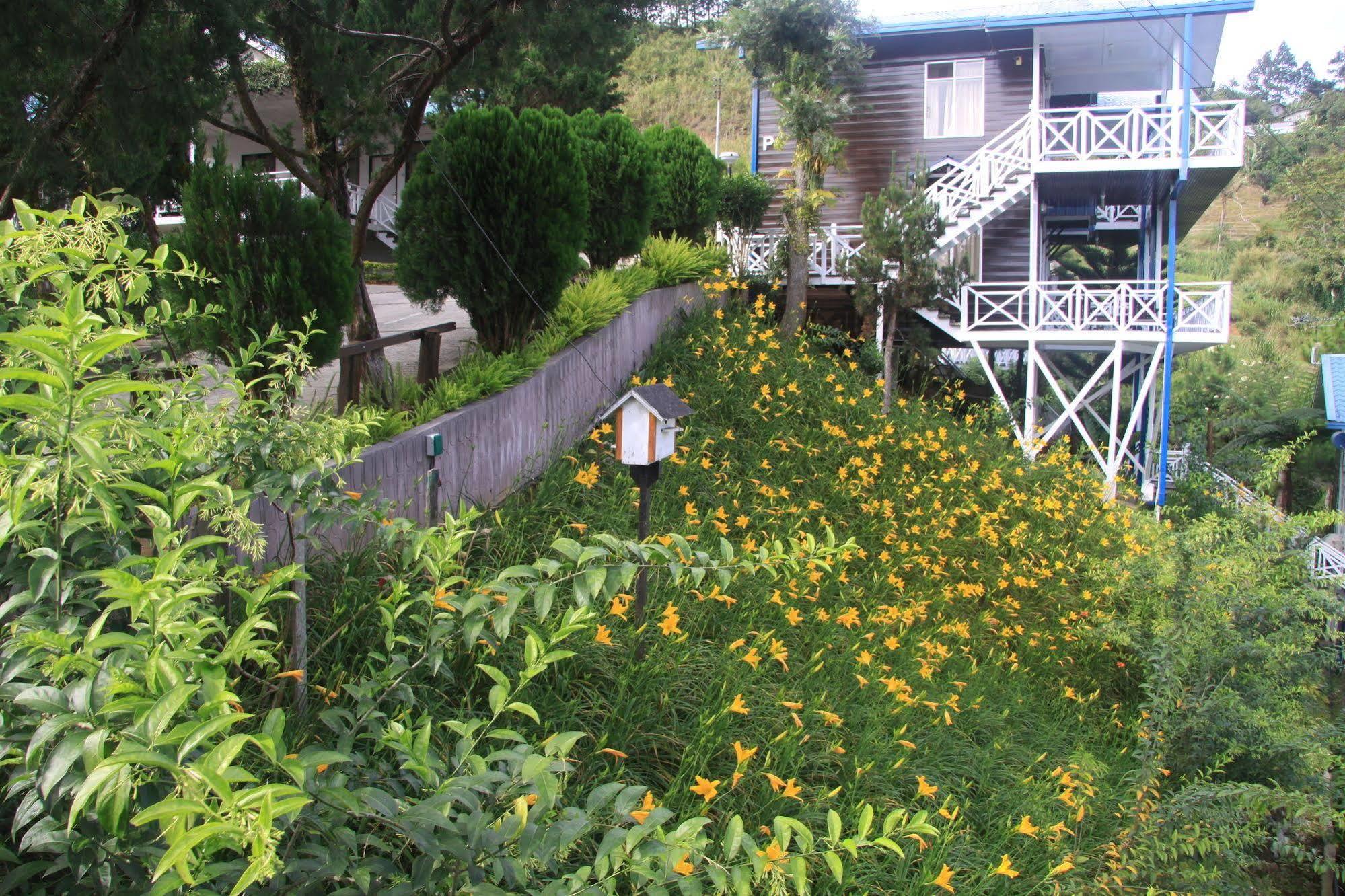 キナバル パイン リゾート Kampong Kundassan エクステリア 写真